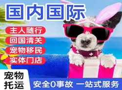 伊尔施航空空运国际宠物托运 【国