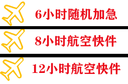 伊尔施航空空运快递公司,专业空运当天件